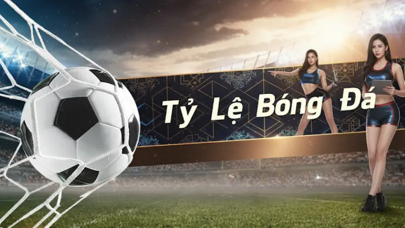 Thể Thao TF88 - Sân Chơi Đỉnh Cao Dành Cho Tín Đồ Bóng Đá - bexin