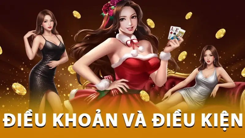 Điều Khoản Và Điều Kiện TF88 - Bộ Quy Tắc Người Chơi Cần Nắm - bexin