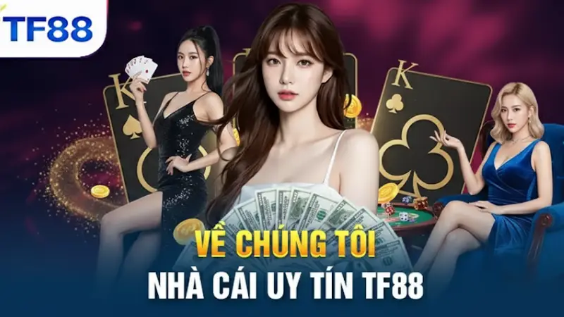 Về Chúng Tôi TF88 - Nhà Cái Uy Tín Với Trải Nghiệm Đỉnh Cao - bexin