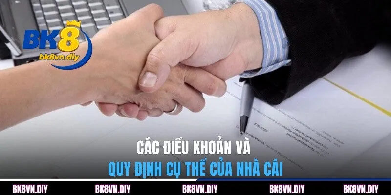 Điều Khoản Và Quy Định Quan Trọng Tại Nhà Cái BK8 Hiện nay - bexin