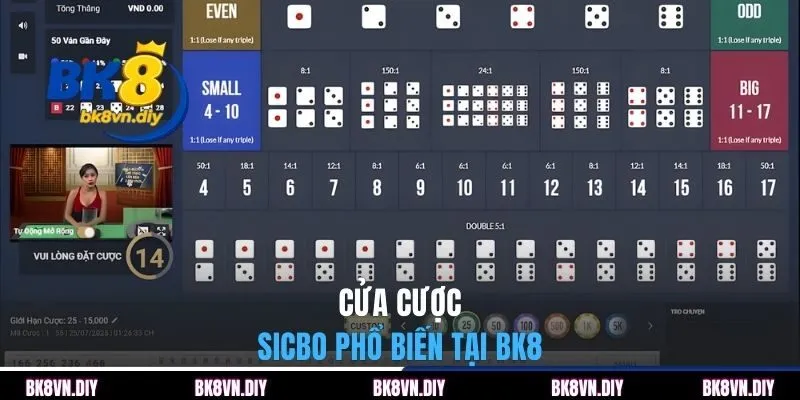 Sicbo BK8 - Hướng Dẫn Cách Thắng Cược Tới 210x Vốn - bexin