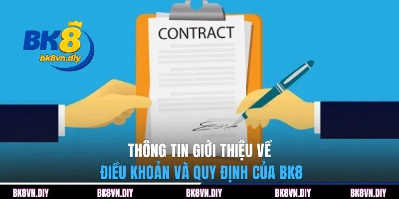 Điều Khoản Và Quy Định Quan Trọng Tại Nhà Cái BK8 Hiện nay - bexin