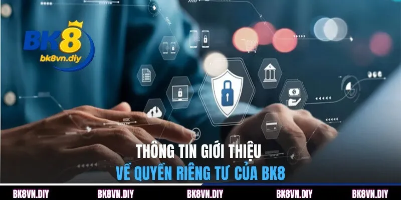 Quyền Riêng Tư | Cơ Chế Bảo Đảm An Toàn Tại Nhà Cái BK8 - bexin