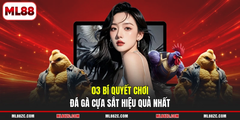 Đá Gà Cựa Sắt - Đặt Cược Dễ Dàng, Rinh Quà Cực Khủng - bexin Đá Gà Cựa Sắt - Đặt Cược Dễ Dàng, Rinh Quà Cực Khủng - bexin