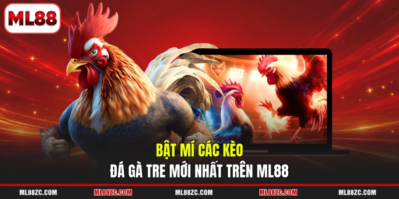 Đá Gà Tre - Trải Nghiệm Từng Trận Đấu Gay Cấn 2026 - bexin Đá Gà Tre - Trải Nghiệm Từng Trận Đấu Gay Cấn 2026 - bexin