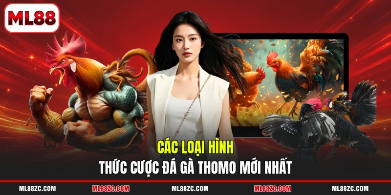 Đá Gà Thomo - Đấu Trường Chọi Kê Hàng Đầu Năm 2026 - bexin Đá Gà Thomo - Đấu Trường Chọi Kê Hàng Đầu Năm 2026 - bexin