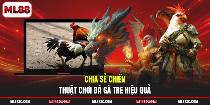 Đá Gà Tre - Trải Nghiệm Từng Trận Đấu Gay Cấn 2026 - bexin Đá Gà Tre - Trải Nghiệm Từng Trận Đấu Gay Cấn 2026 - bexin