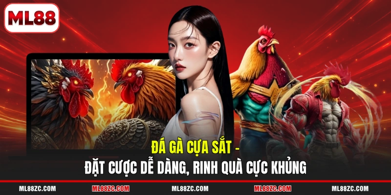 Đá Gà ML88 - Top 3 Thể Loại Game Đặc Sắc Nhất Năm 2026 - bexin