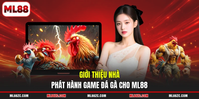 Đá Gà ML88 - Top 3 Thể Loại Game Đặc Sắc Nhất Năm 2026 - bexin