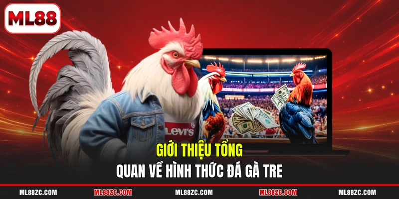 Đá Gà Tre - Trải Nghiệm Từng Trận Đấu Gay Cấn 2026 - bexin Đá Gà Tre - Trải Nghiệm Từng Trận Đấu Gay Cấn 2026 - bexin