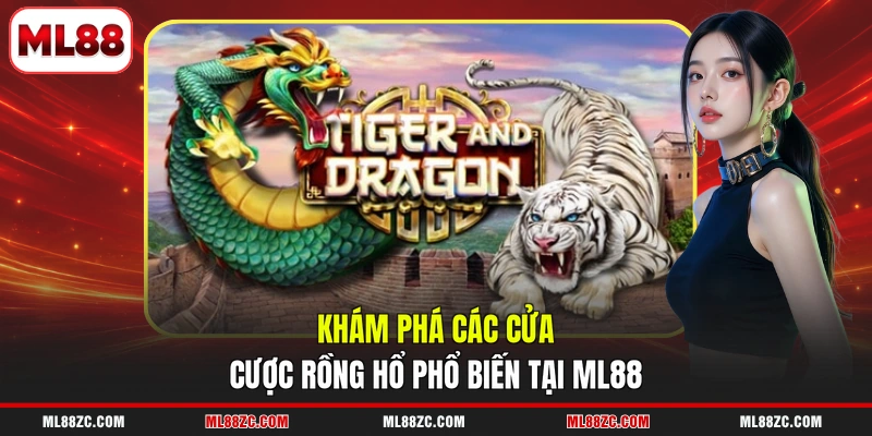 Rồng Hổ - Hướng Dẫn Chi Tiết Quy Tắc Của 3 Cửa Cược - bexin