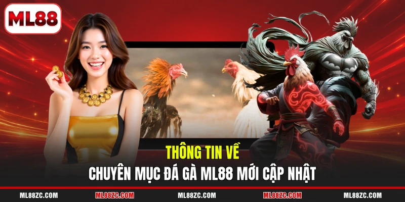 Đá Gà ML88 - Top 3 Thể Loại Game Đặc Sắc Nhất Năm 2026 - bexin