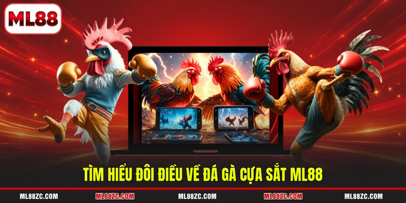 Đá Gà Cựa Sắt - Đặt Cược Dễ Dàng, Rinh Quà Cực Khủng - bexin Đá Gà Cựa Sắt - Đặt Cược Dễ Dàng, Rinh Quà Cực Khủng - bexin