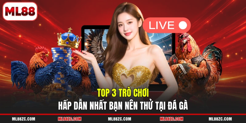 Đá Gà ML88 - Top 3 Thể Loại Game Đặc Sắc Nhất Năm 2026 - bexin